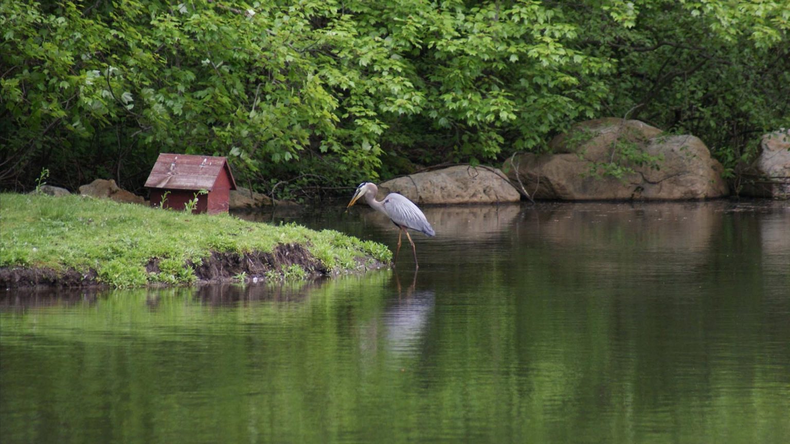 Tall Timbers Tall Timbers Property Owners Association