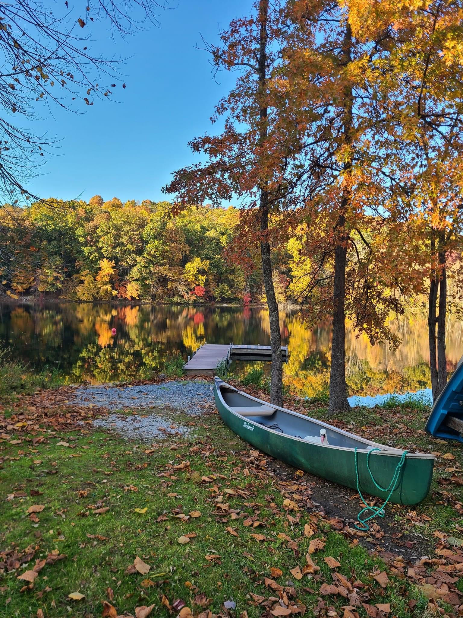 Photo Gallery Tall Timbers